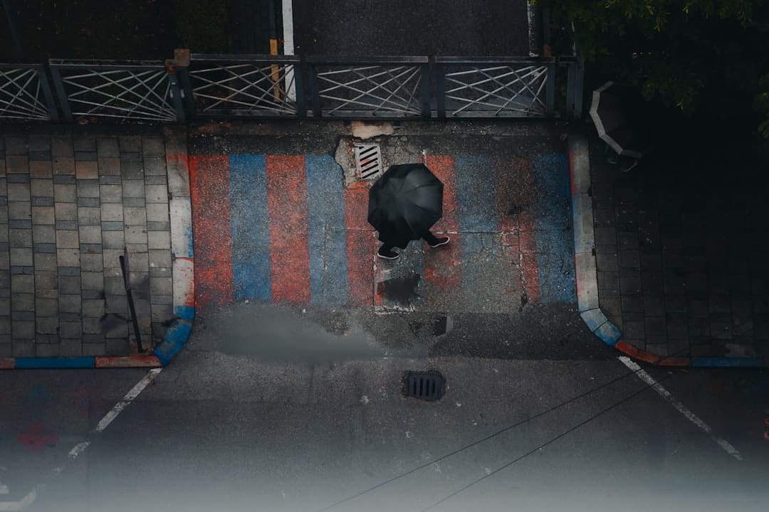 成都暴雨 强降雨伴有大风来袭